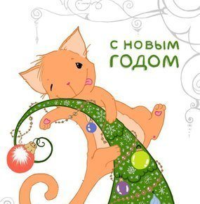 Открытка