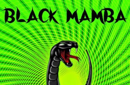Black mamba