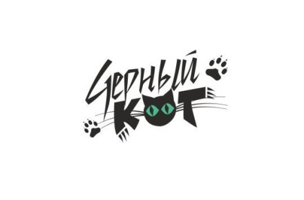 Черный кот