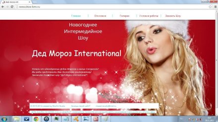 Новогоднее шоу