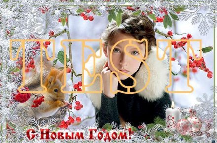 Зимняя рябина
