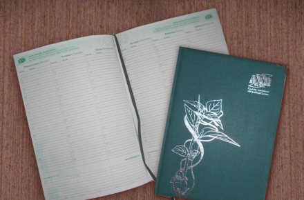 Дизайн планинга