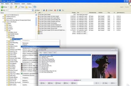 Программа проигрывания сетевых музыкальных файлов [Windows].
