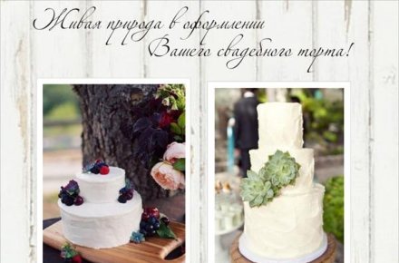 Портфолио для кондитерской 4