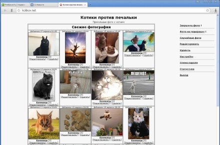 WEB галерея