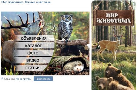 Дизайн группы о лесных животных