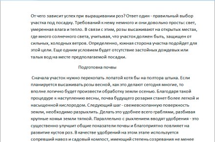Посадка роз весной