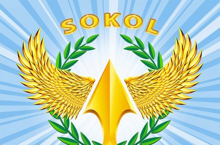 Логотип "СОКОЛ"