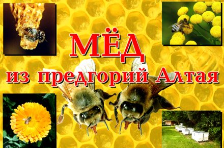 Разработка дизайна афиши