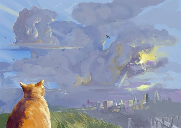Cat and the sky