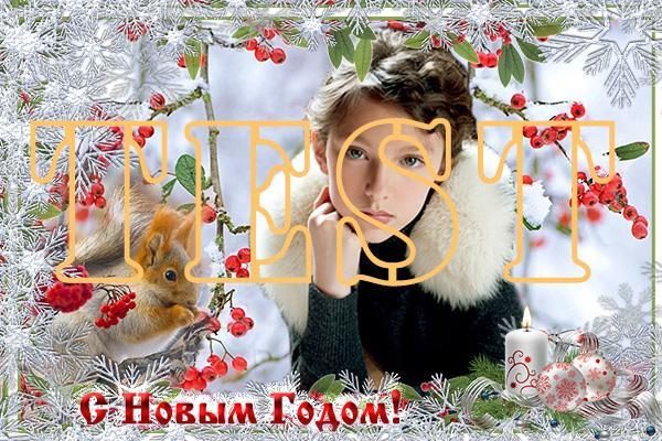 Зимова горобина