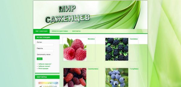 Сайт інтернет-магазин