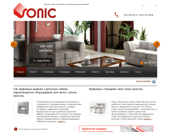 Website of the company "Sonic"