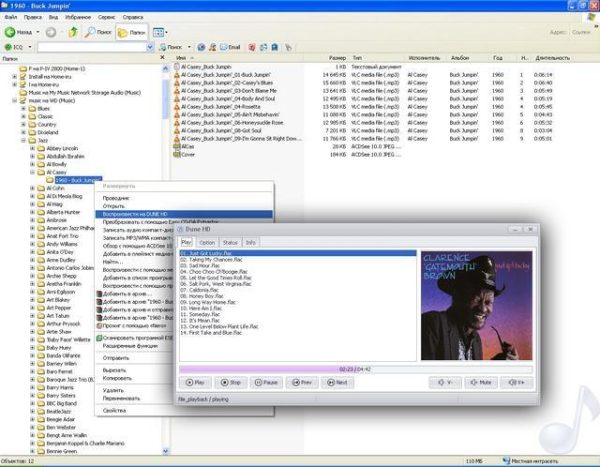Программа проигрывания сетевых музыкальных файлов [Windows].