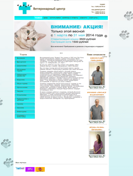 Website development for a veterinary clinic