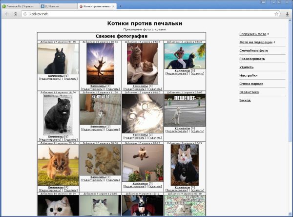 WEB галерея