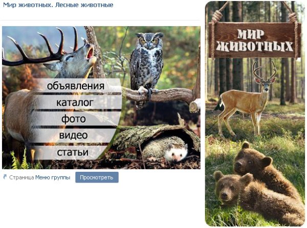 Дизайн группы о лесных животных