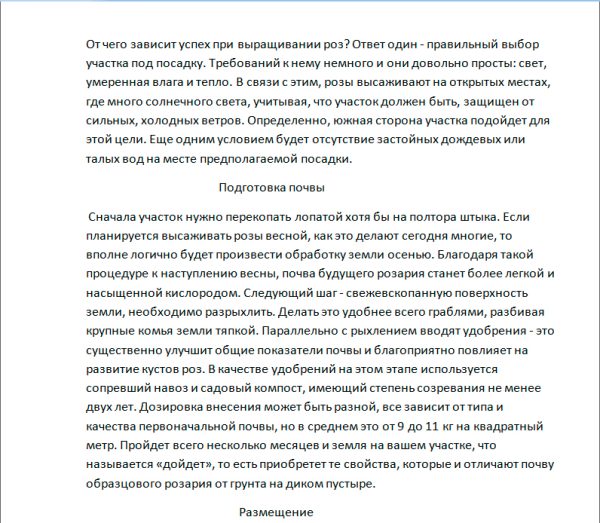 Посадка роз весной