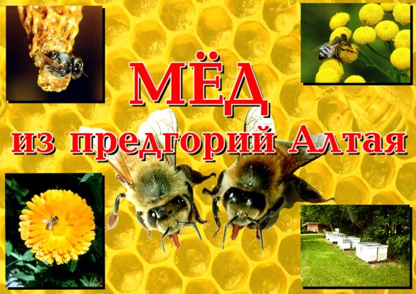 Разработка дизайна афиши
