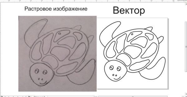 Отрисовка в векторе изображения черепахи